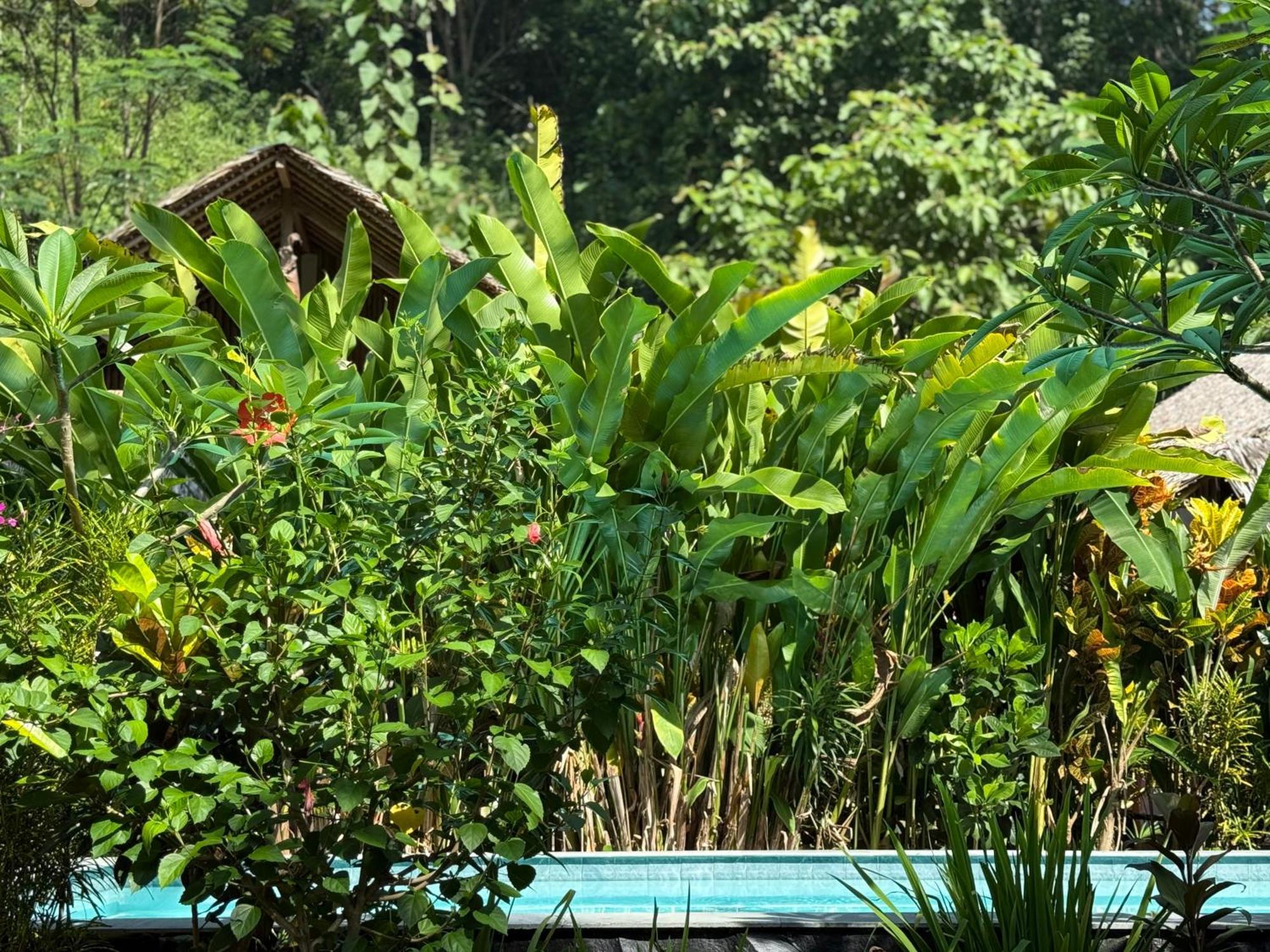 Rnv Eco Resort Bungalows Batukaras Exterior foto